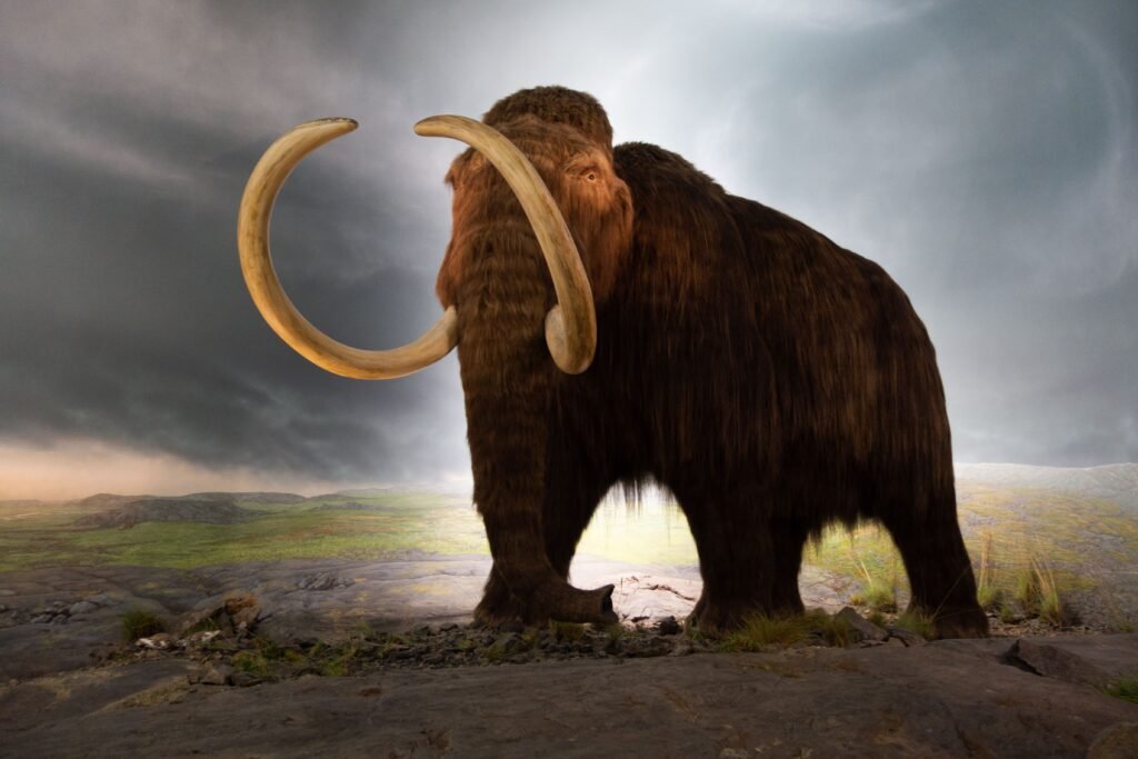 Rediscovering the Woolly Mammoth and Beyond