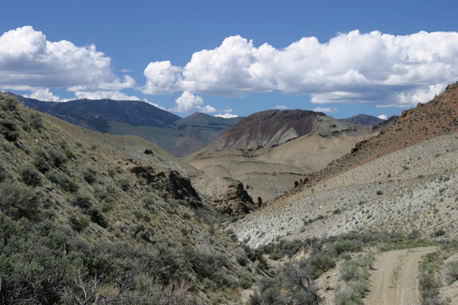 Climate Change and Future Challenges (image credits: wikimedia)