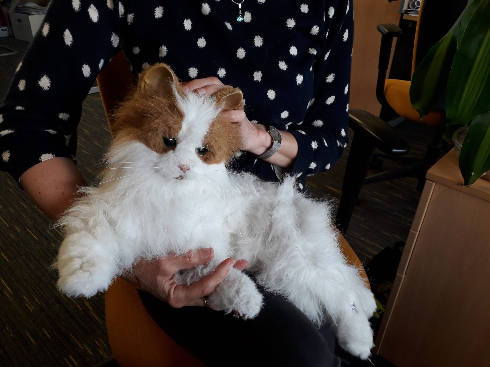 A New Era of Pet Companionship? (image credits: wikimedia)