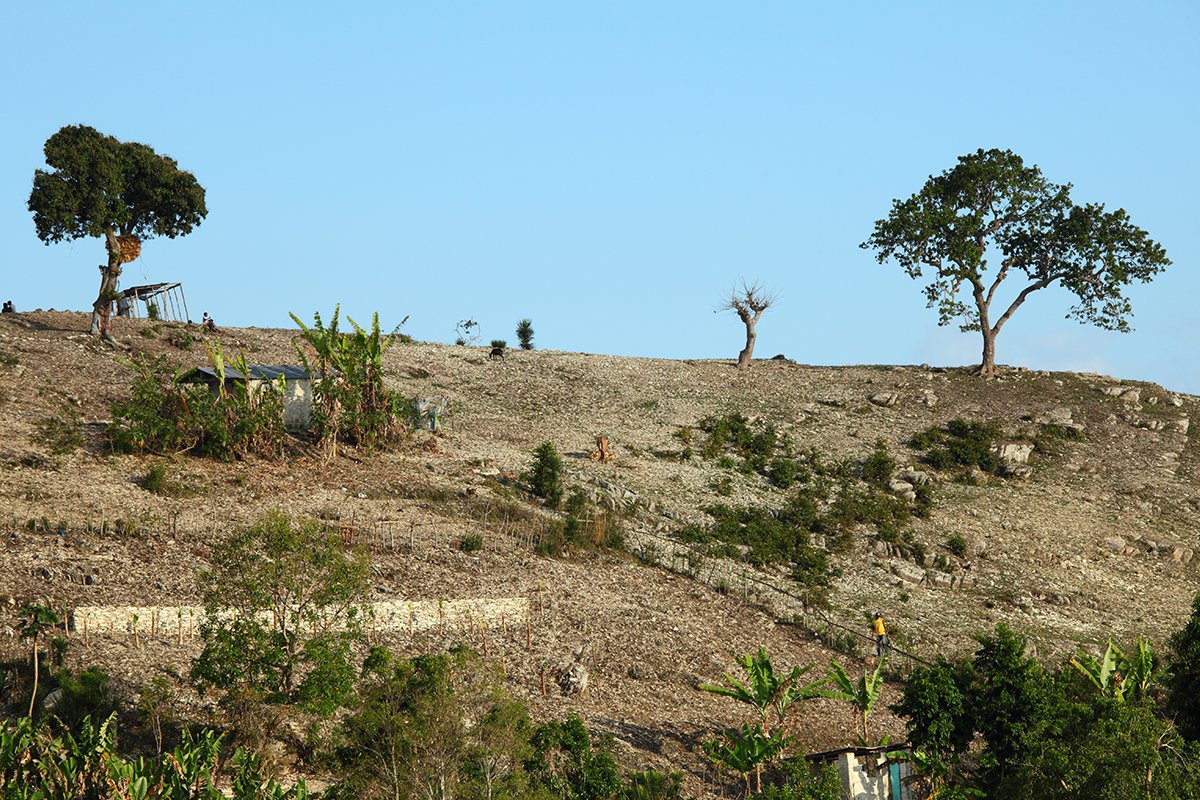 The Fragile Balance of Nature (image credits: wikimedia)