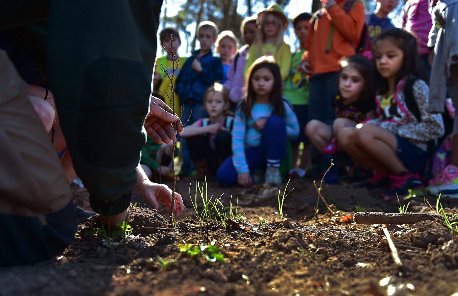 Children, Education, and the Next Generation (image credits: wikimedia)
