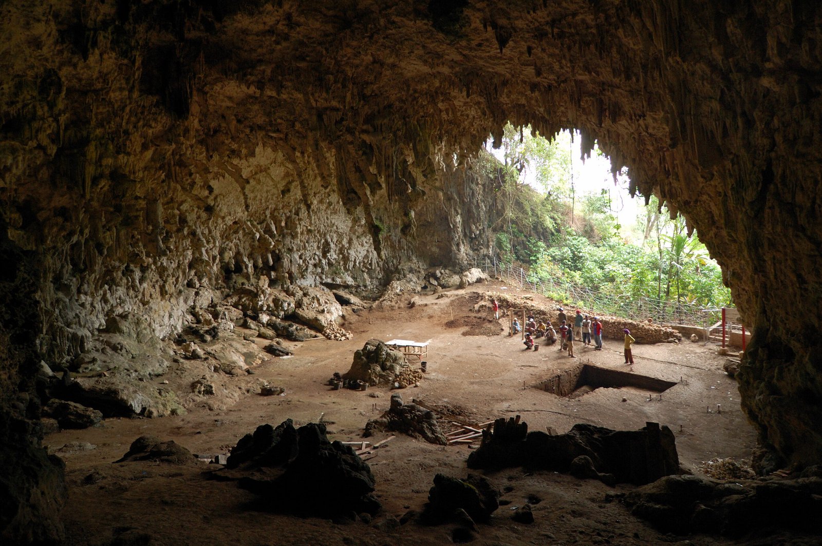 The Startling Discovery in Liang Bua Cave (image credits: wikimedia)