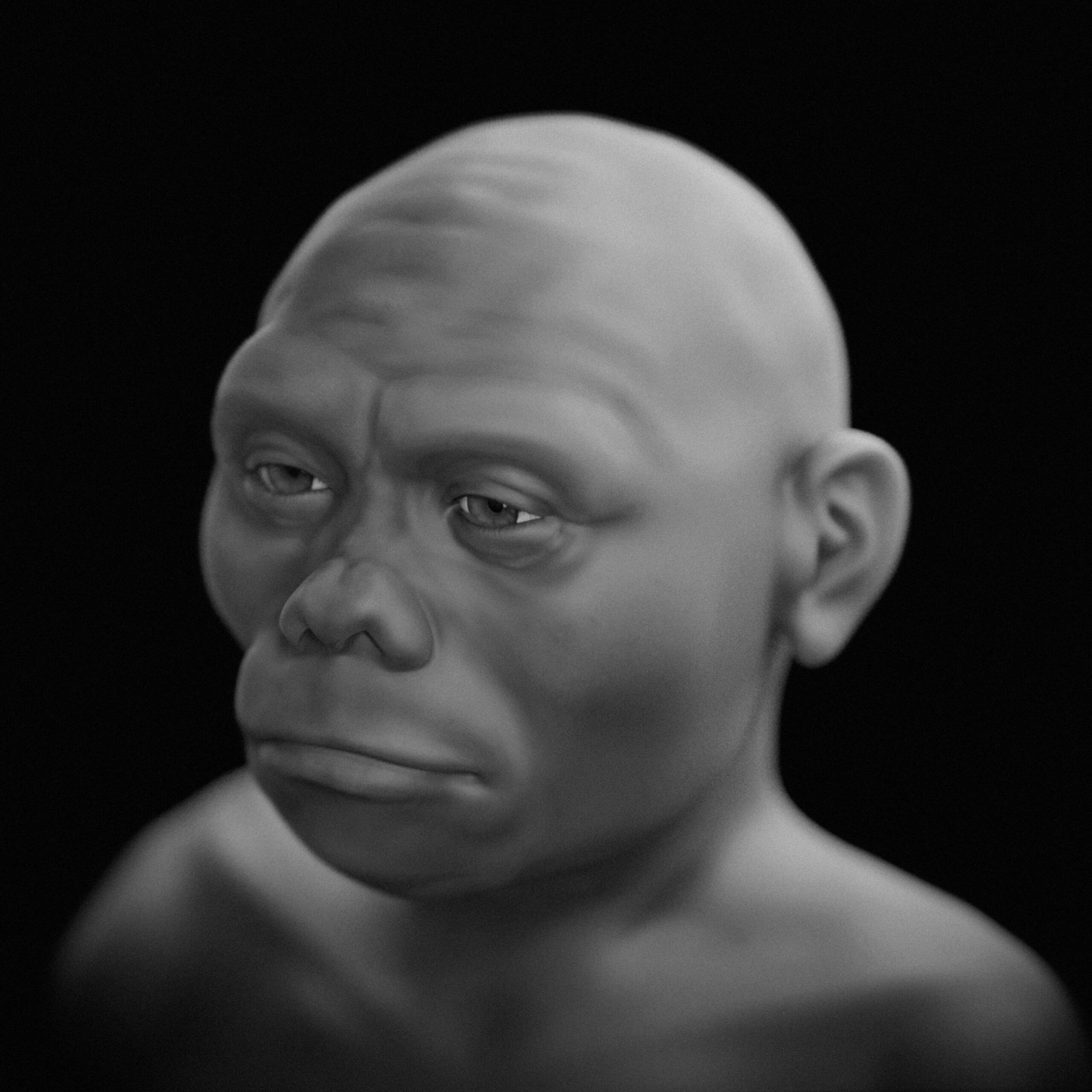 Did Homo sapiens and Flores ‘Hobbits’ Meet? (image credits: wikimedia)