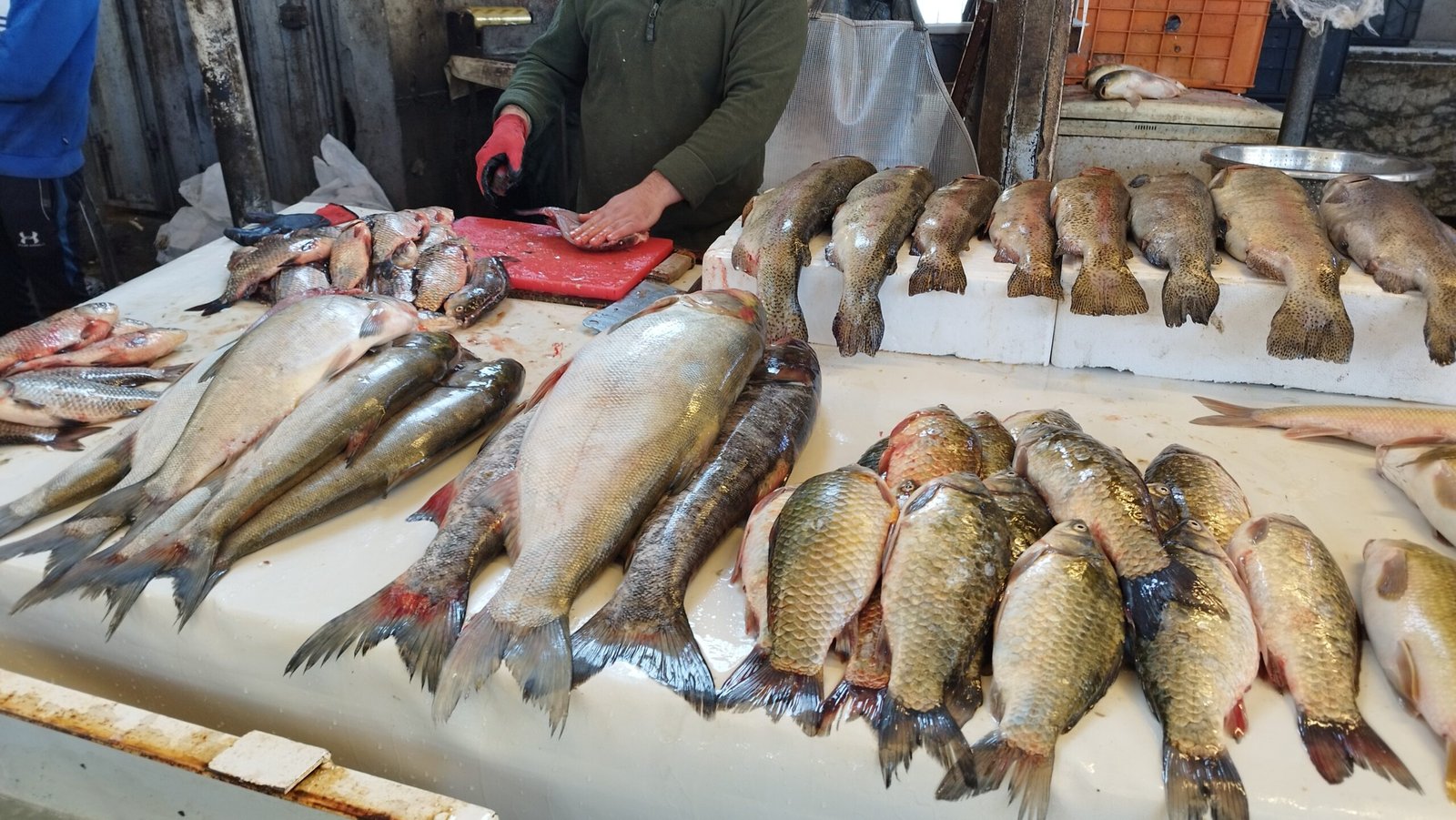 Lessons for Today’s Seafood Lovers (image credits: wikimedia)