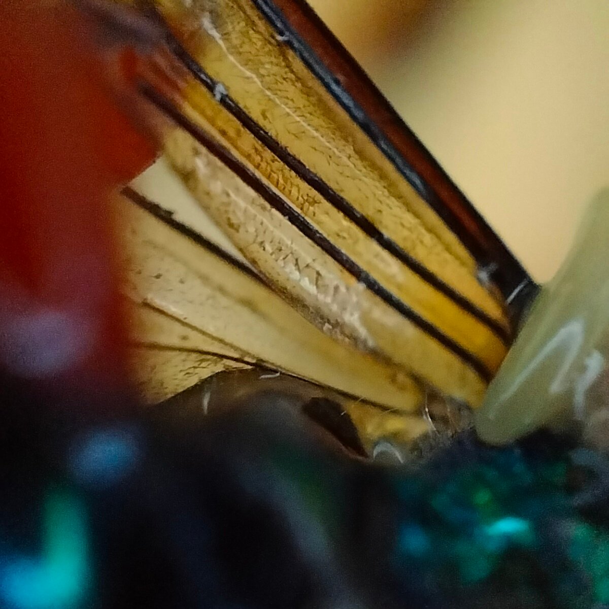 The Ultimate Zombie Master: Awe and Fear in Equal Measure (image credits: wikimedia)