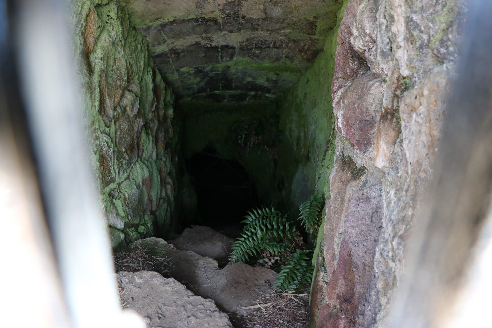 Natural Time Capsules: What Makes Lava Tubes Unique? (image credits: wikimedia)