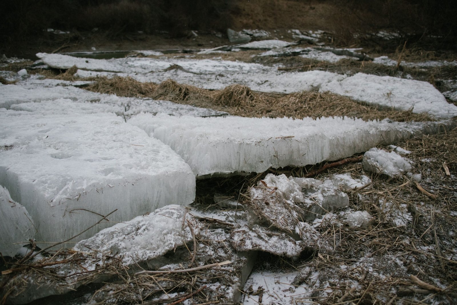 The Fragile Balance: Protecting These Icy Archives (image credits: wikimedia)