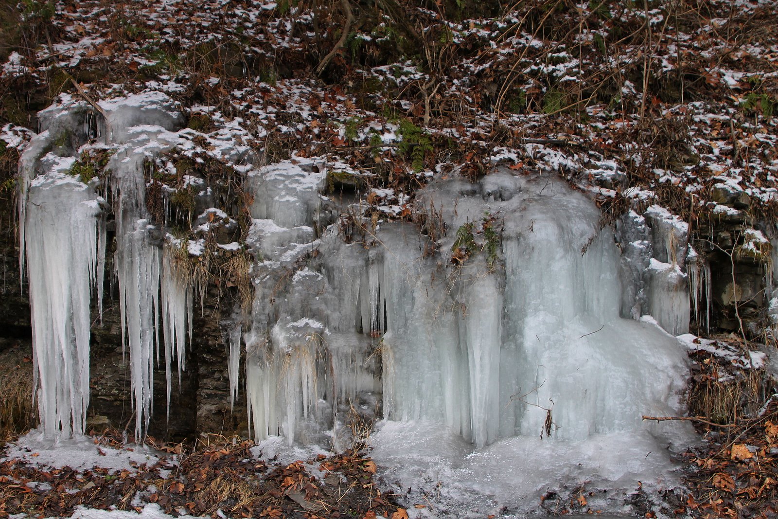 Unexpected Beauty: The Artistry of Ice Formations (image credits: wikimedia)