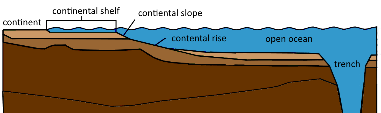 What Is the Continental Shelf? (image credits: wikimedia)