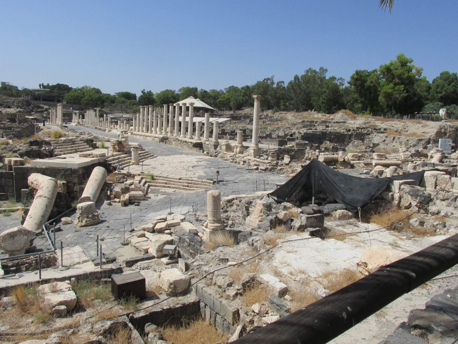 Shaking the Ground: Early Earthquake Predictors (image credits: wikimedia)