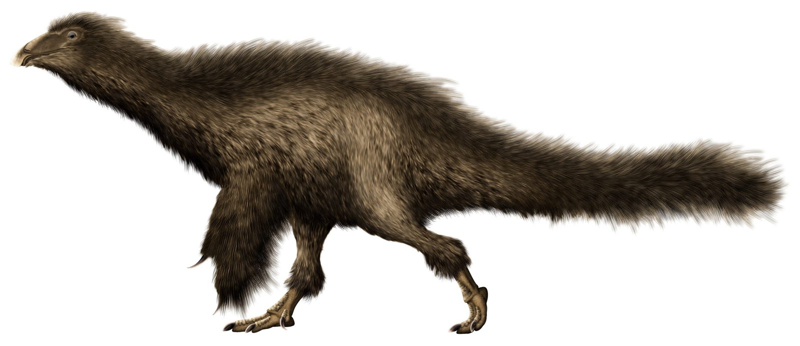 Beipiaosaurus: The Oddball Herbivore (image credits: wikimedia)