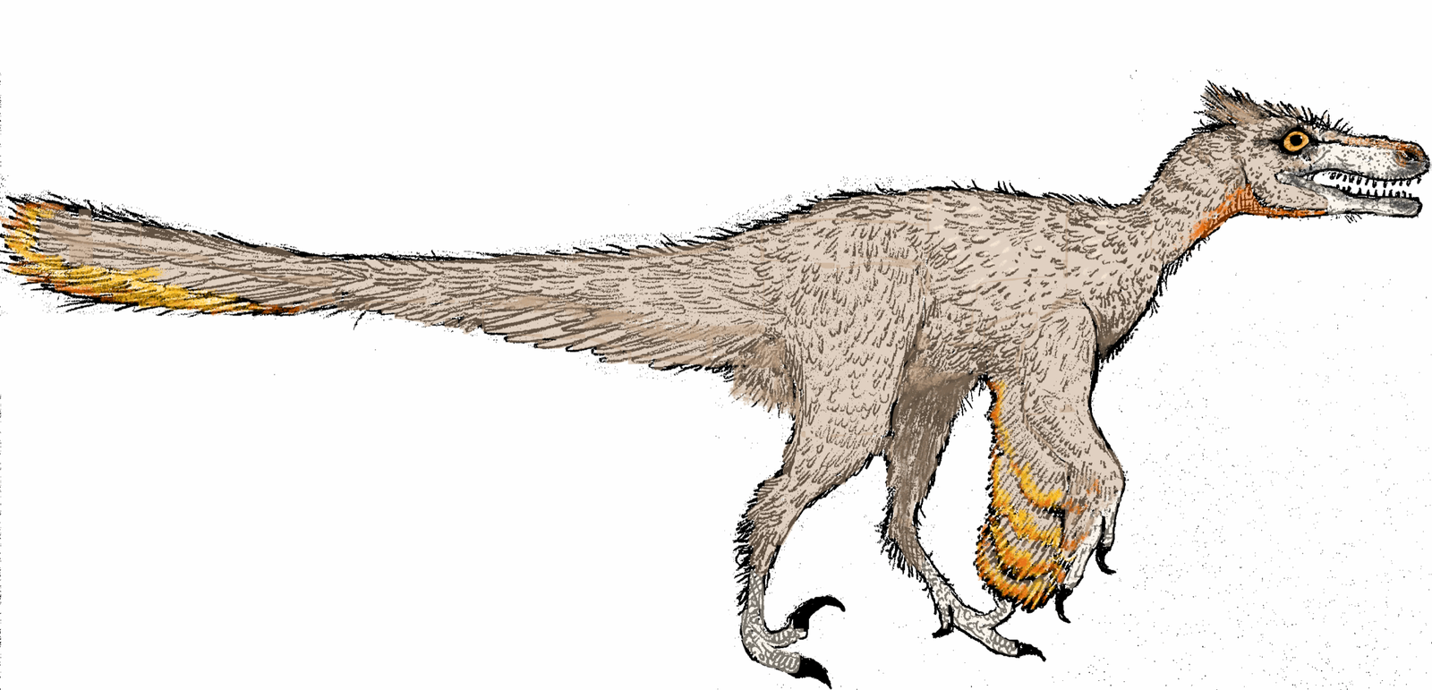 Changing How We See Dinosaurs (image credits: wikimedia)