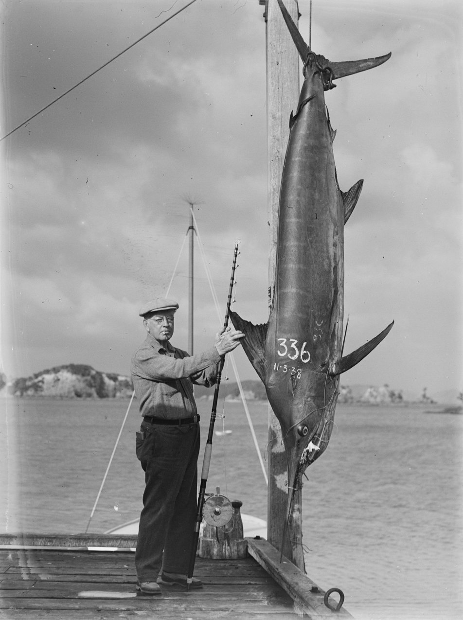 Black Marlin: The Silver Bullets of the Sea (image credits: wikimedia)