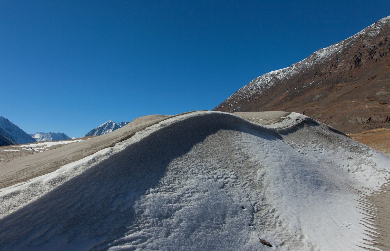Climate and Survival: Life in the Siberian Wilds (image credits: wikimedia)