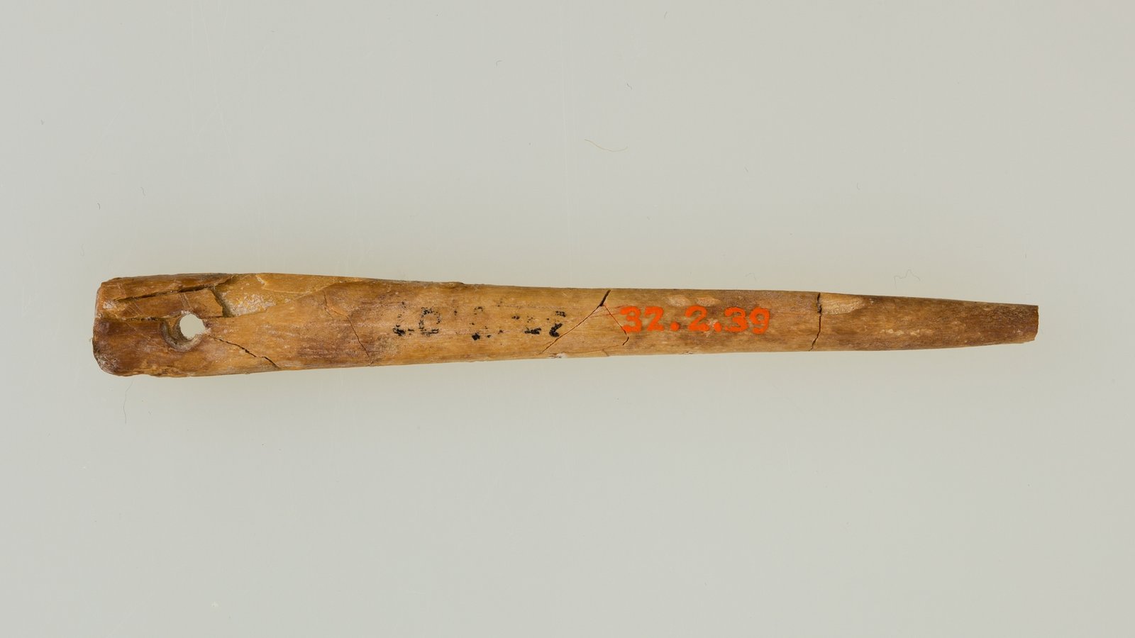 Ancient Artisans: The Oldest Known Needle (image credits: wikimedia)