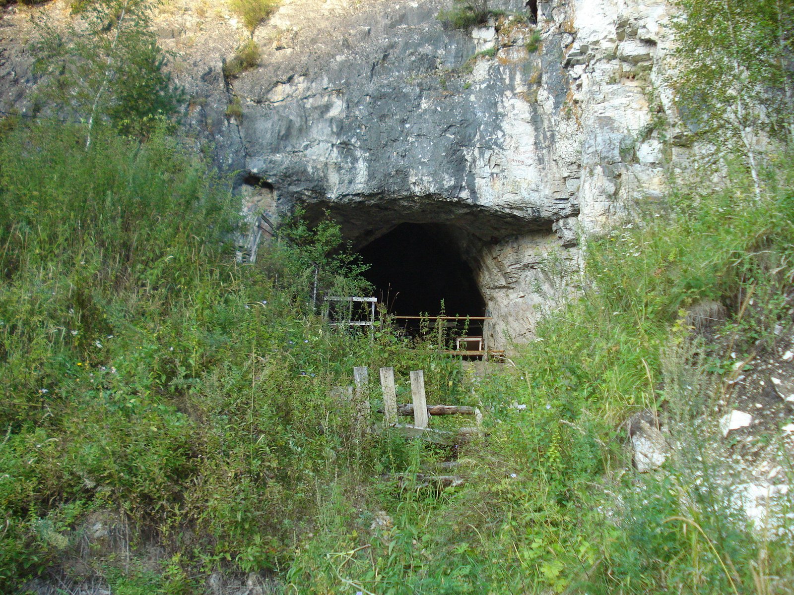 The Cave That Held Three Human Species: Denisovans, Neanderthals, and Us