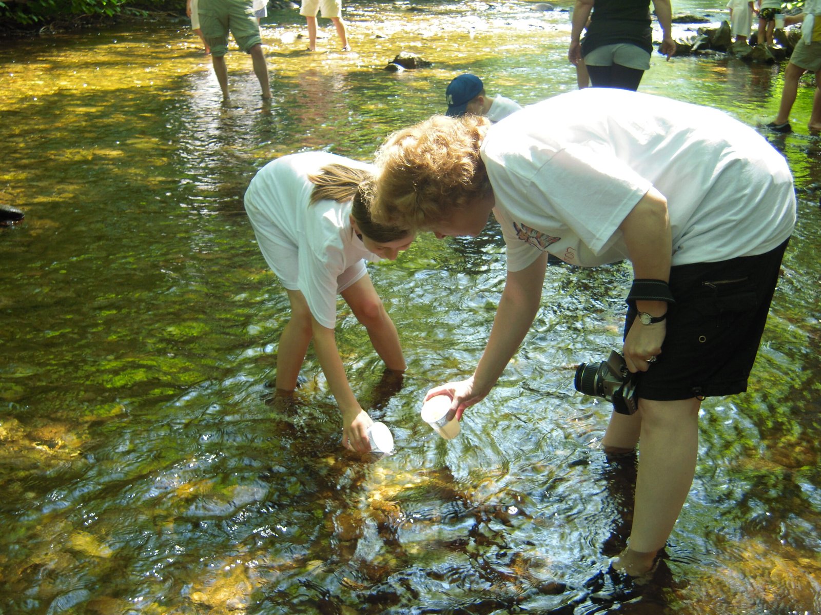 Education and the Next Generation (image credits: wikimedia)