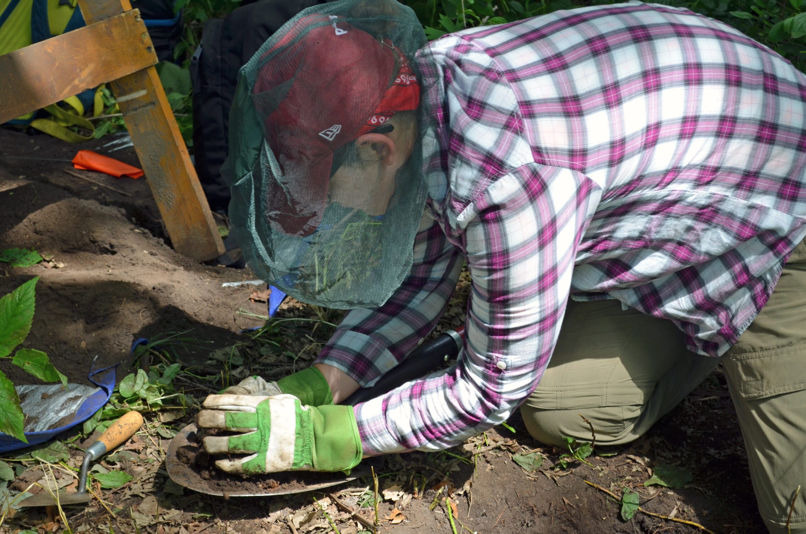 Archaeological Finds and Hidden Histories (image credits: wikimedia)