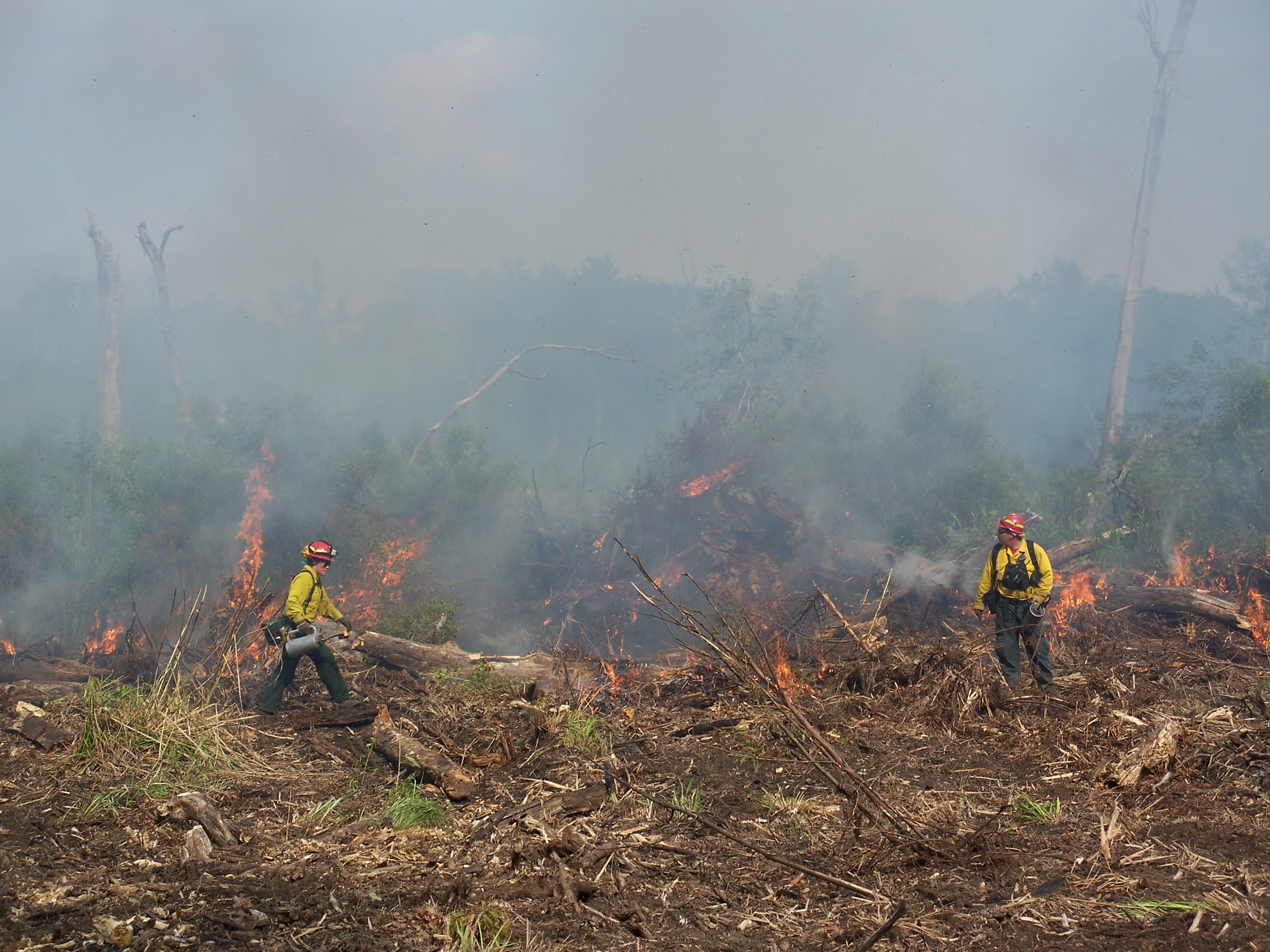 Fire: Friend and Foe (image credits: wikimedia)