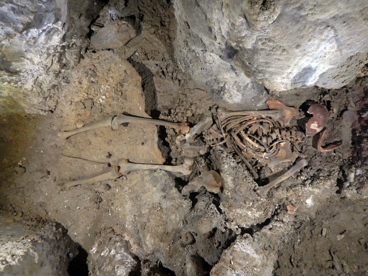 Meet Perak Man: Southeast Asia’s Oldest Skeleton (image credits: wikimedia)