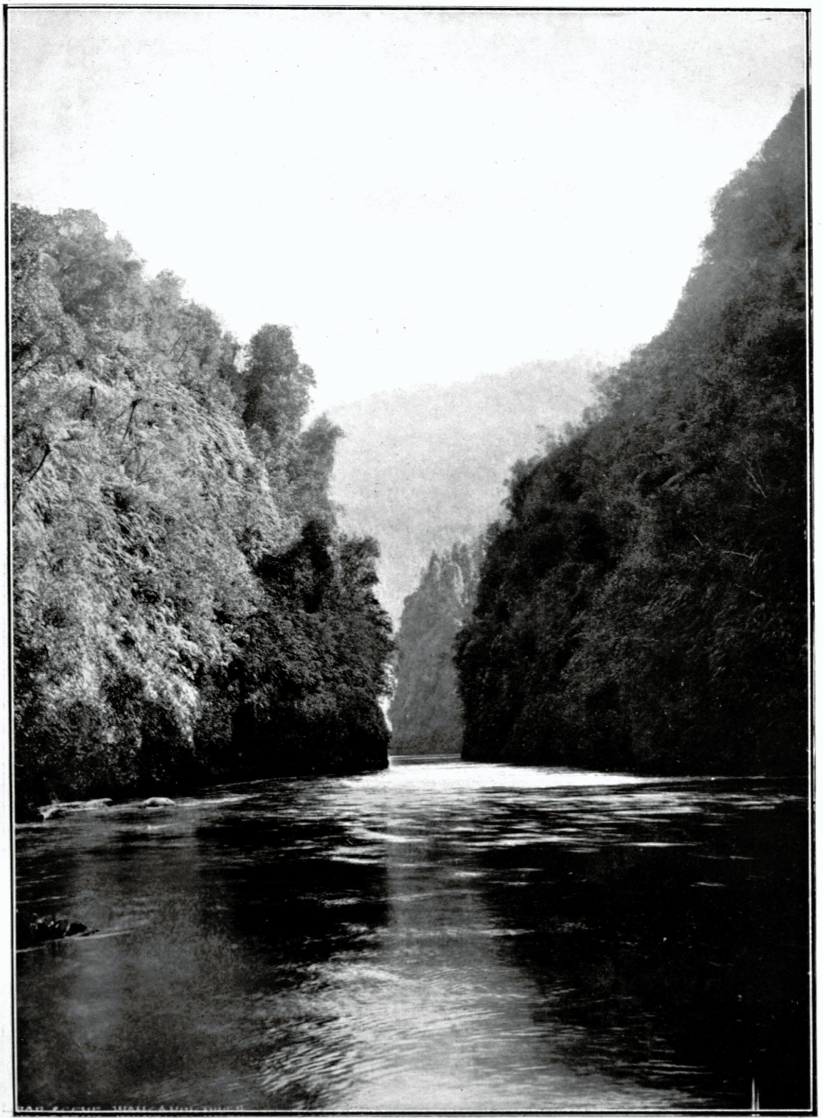 Legal Precedents and Future Cases (image credits: wikimedia)