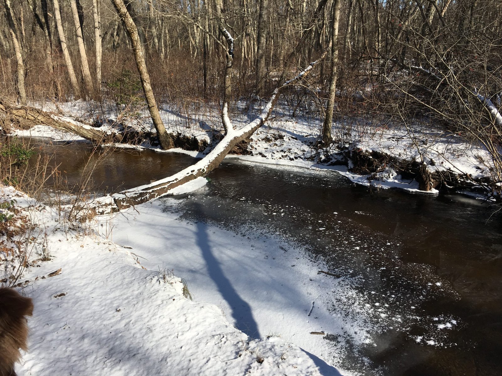 Education and Public Awareness (image credits: wikimedia)