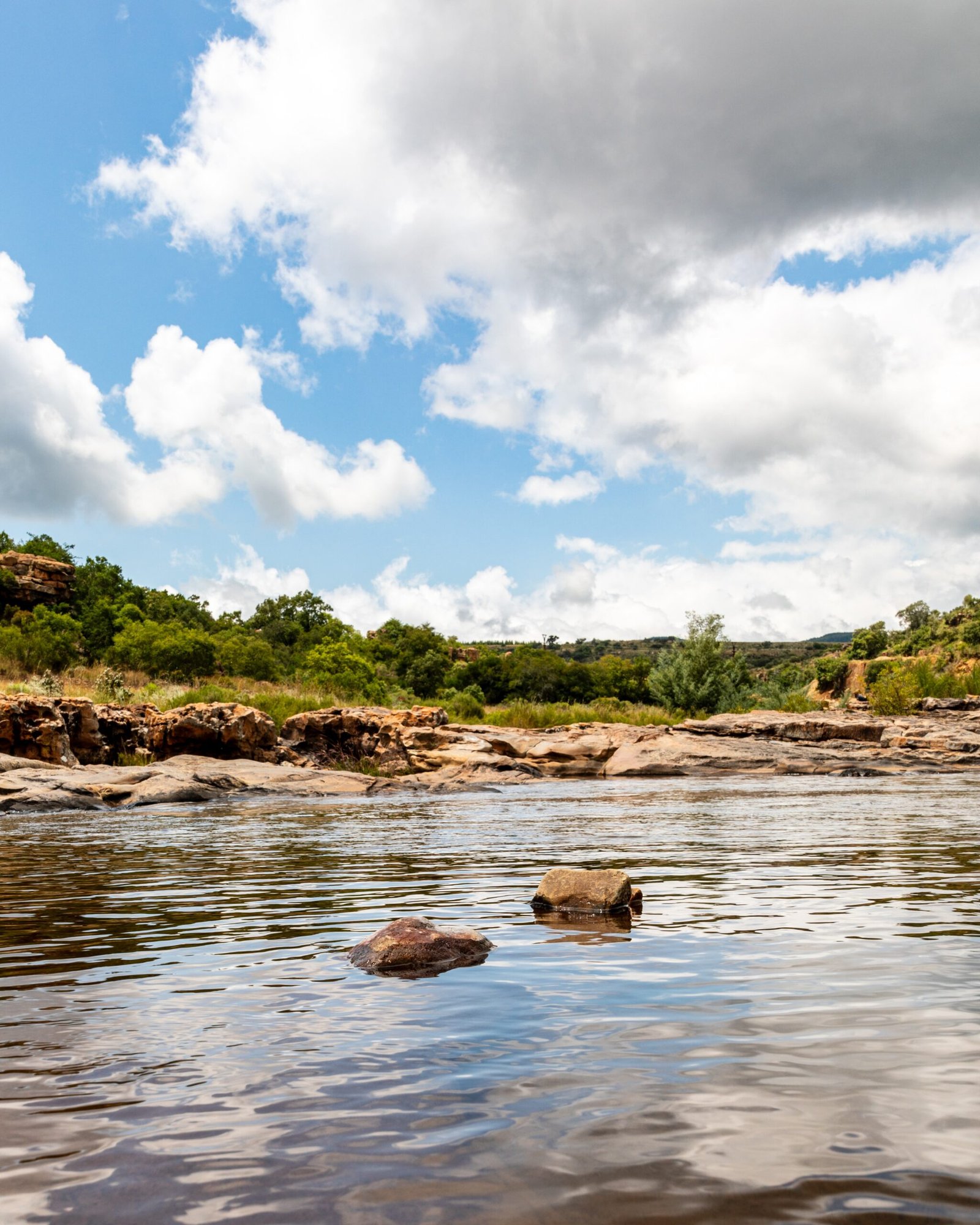 A New Era of Environmental Law (image credits: wikimedia)