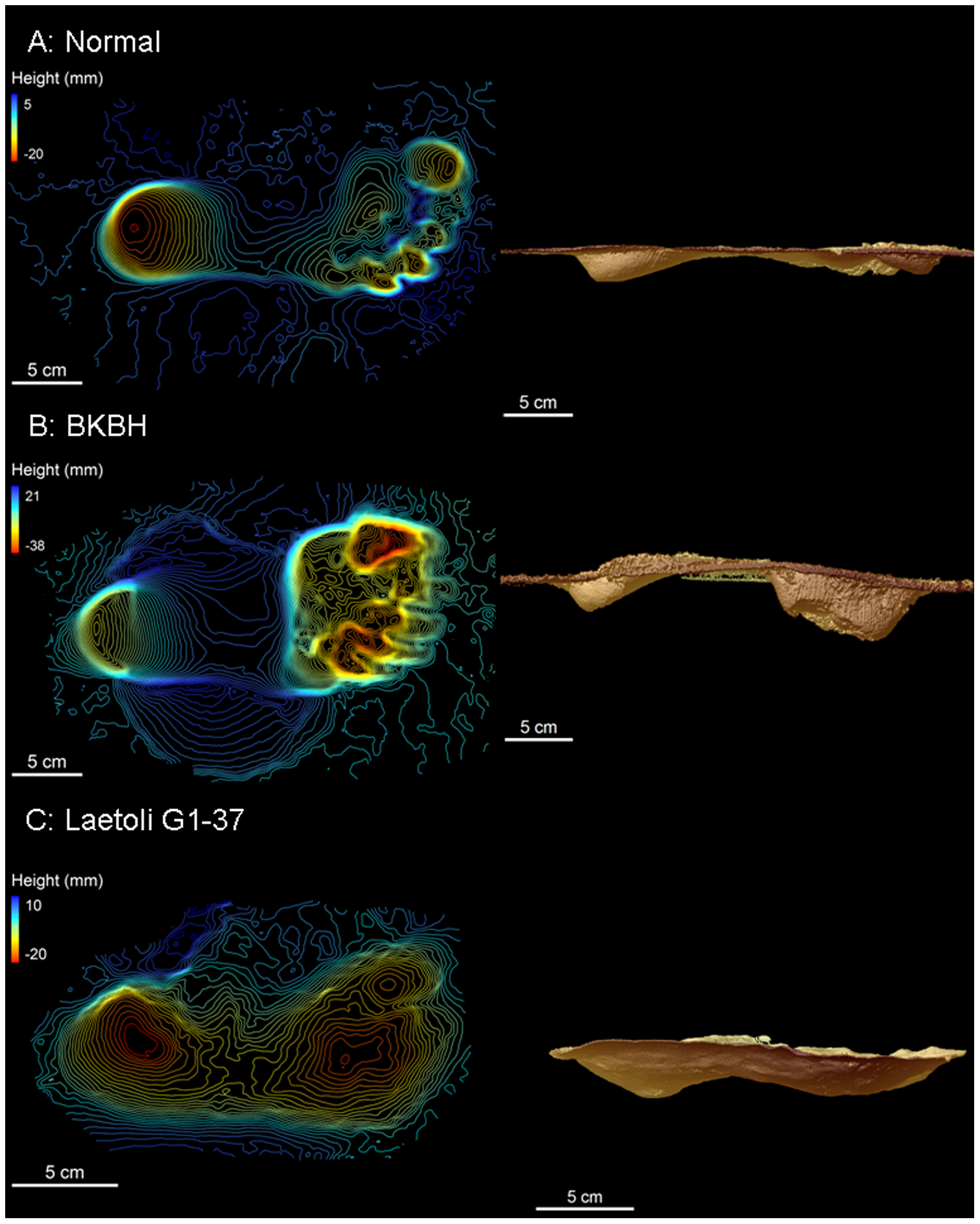 Who Made the Footprints? (image credits: wikimedia)