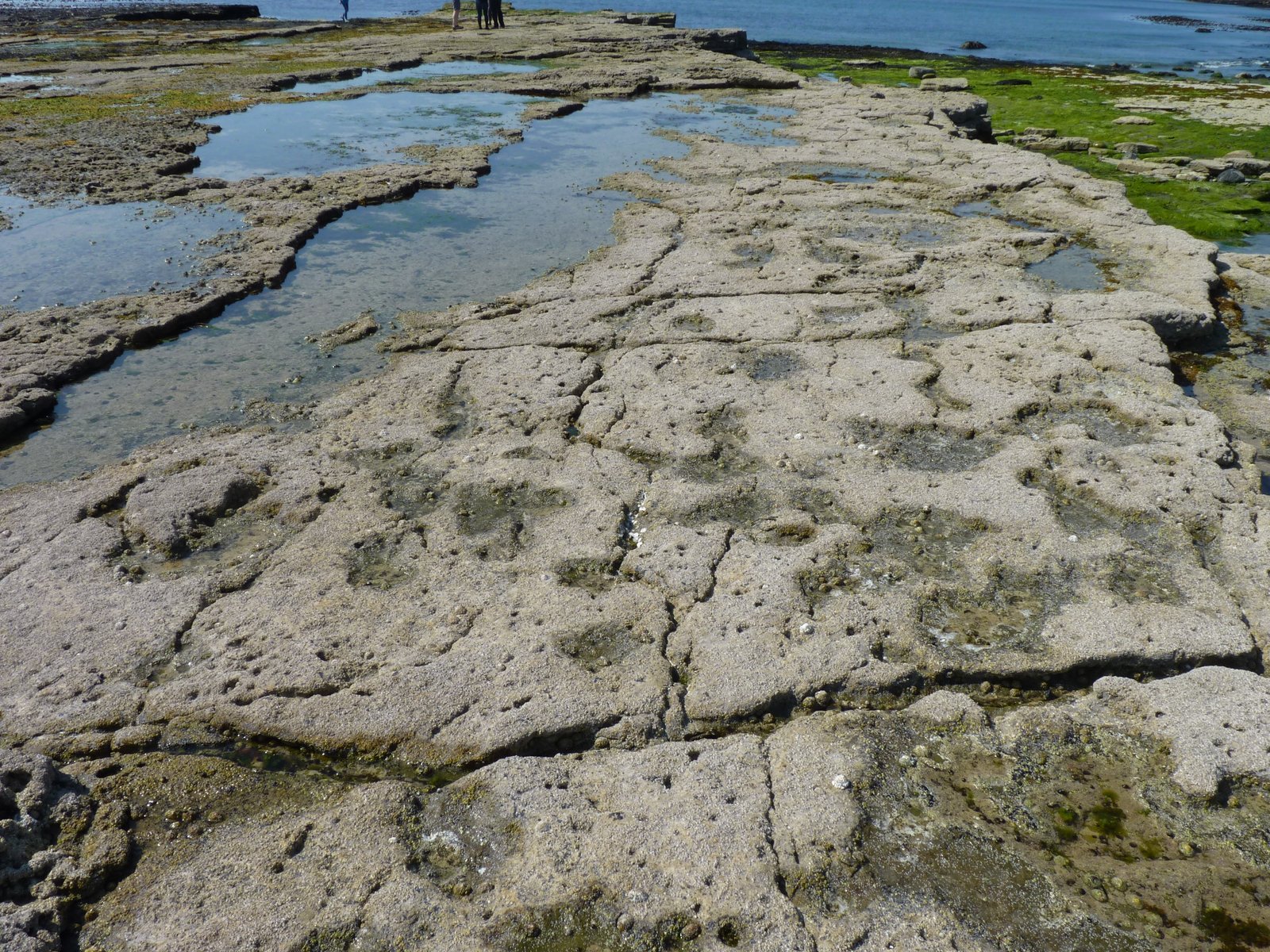 Interpreting the Social Dynamics (image credits: wikimedia)