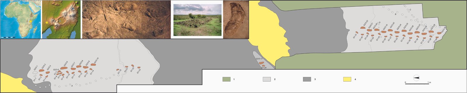 The Cultural Significance in Tanzania (image credits: wikimedia)