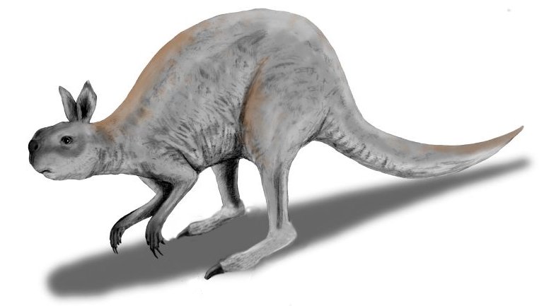 Ancient Australia: A Land of Giants (image credits: wikimedia)