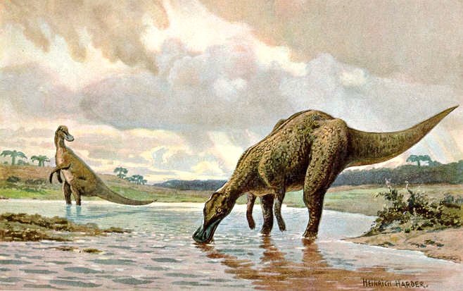 Why Don’t We See Mega-Kangaroos Today? (image credits: wikimedia)