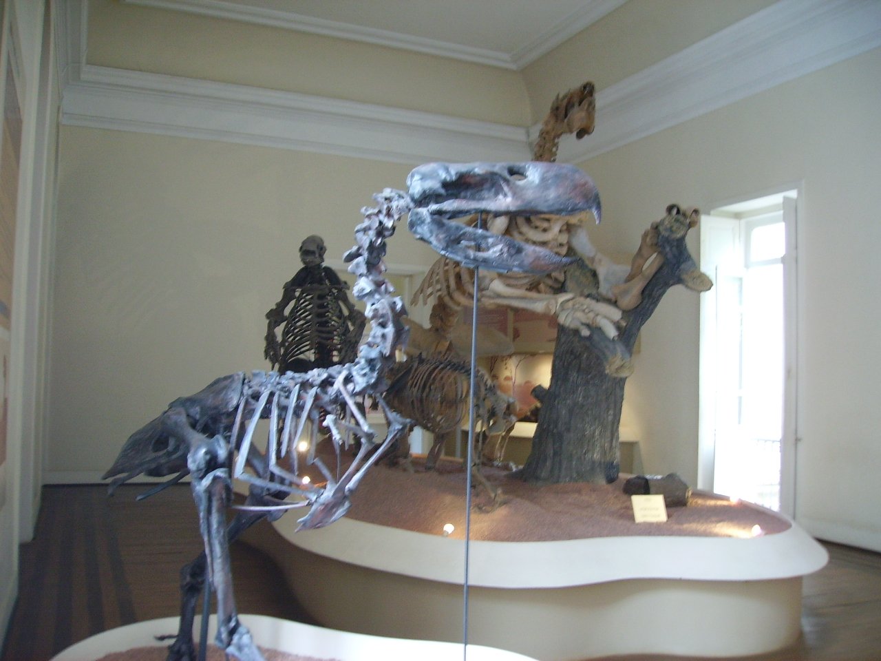 Uncovering New Fossils: What Lies Beneath? (image credits: wikimedia)