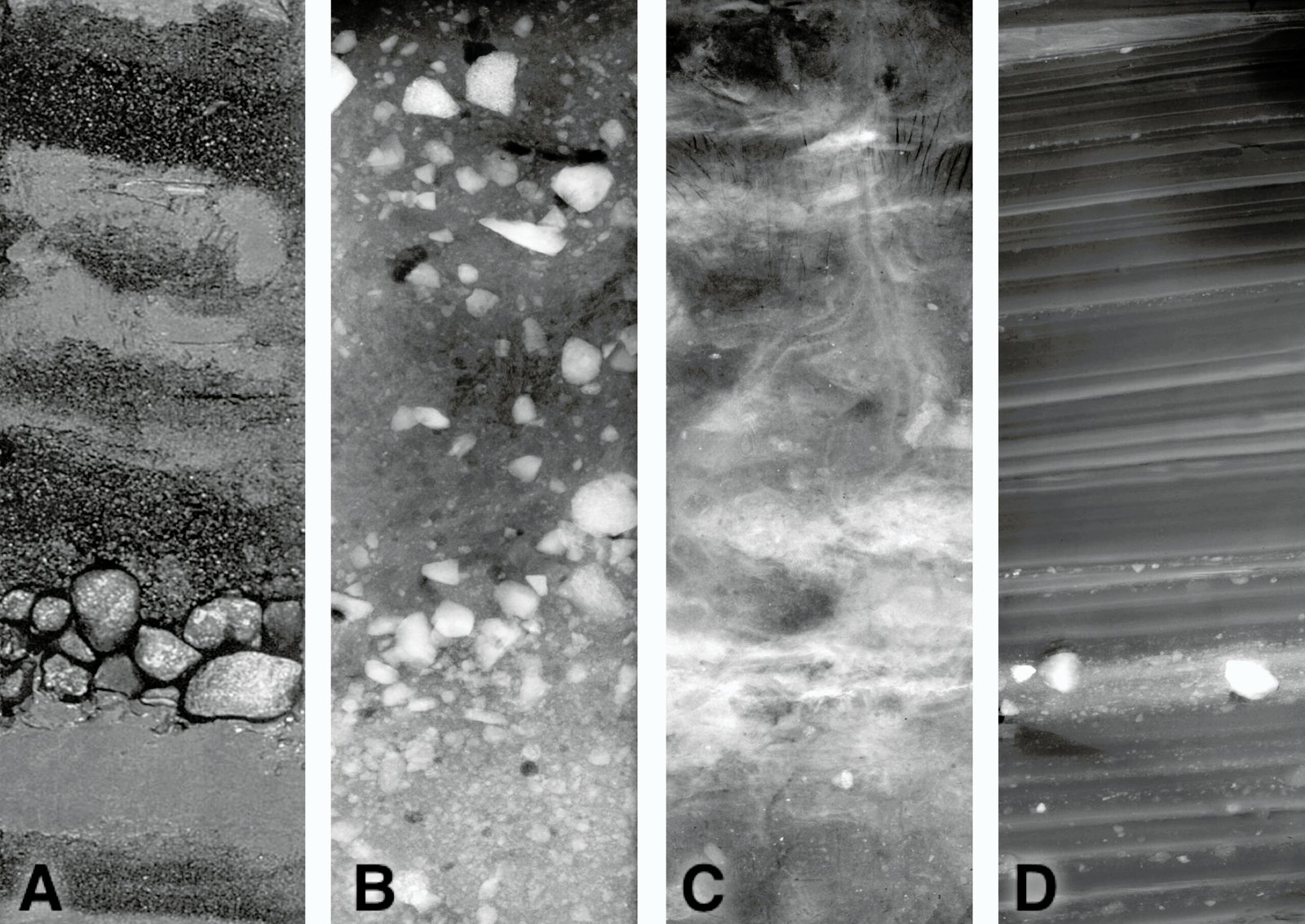 Clues From the Sediment (image credits: wikimedia)