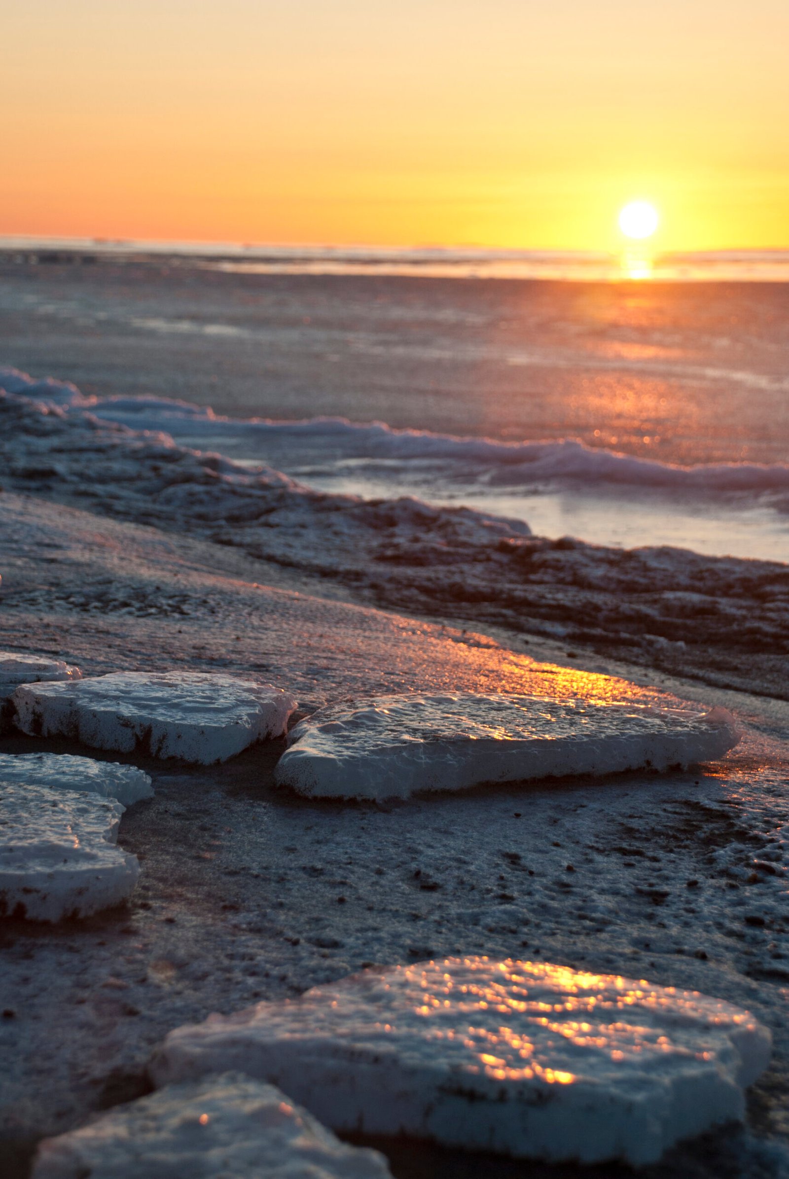 Climate Change and the Bering Sea (image credits: wikimedia)