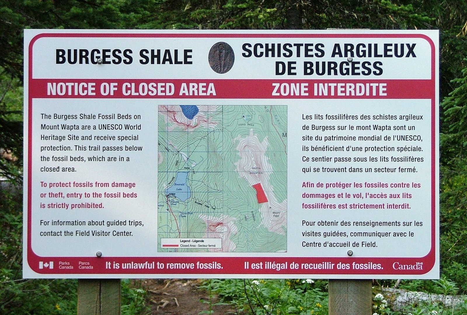 The Burgess Shale’s Enduring Mystery (image credits: wikimedia)