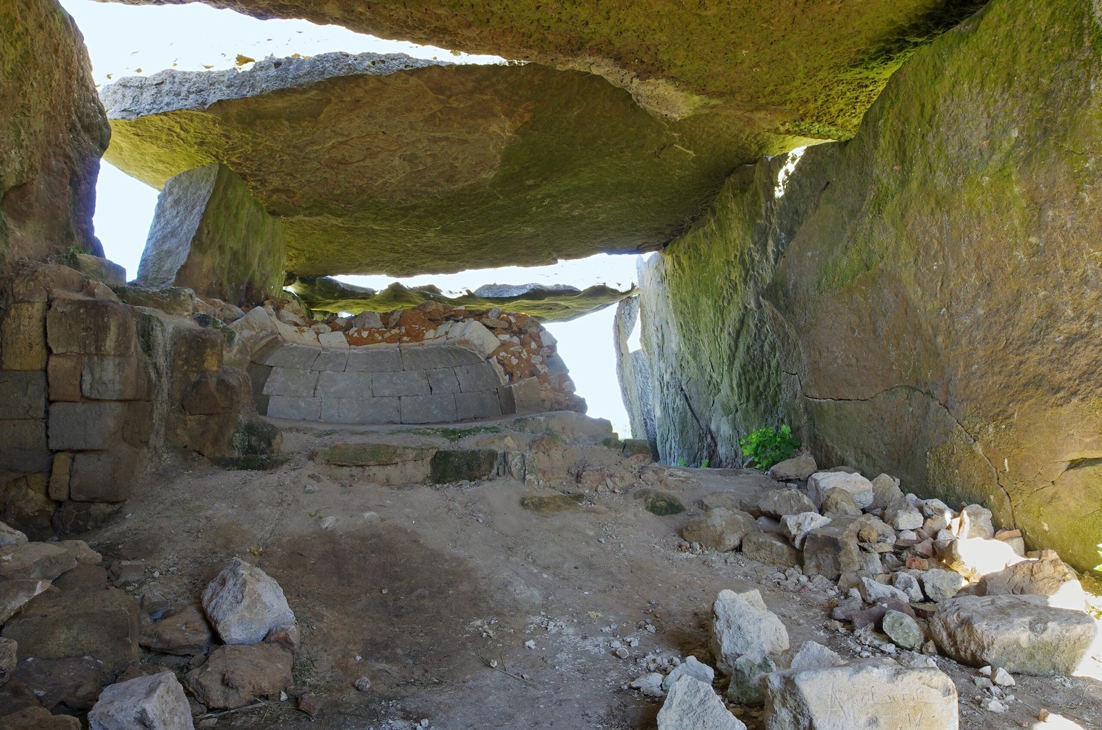 The Challenges of Fossil Hunting in the Tropics (image credits: wikimedia)