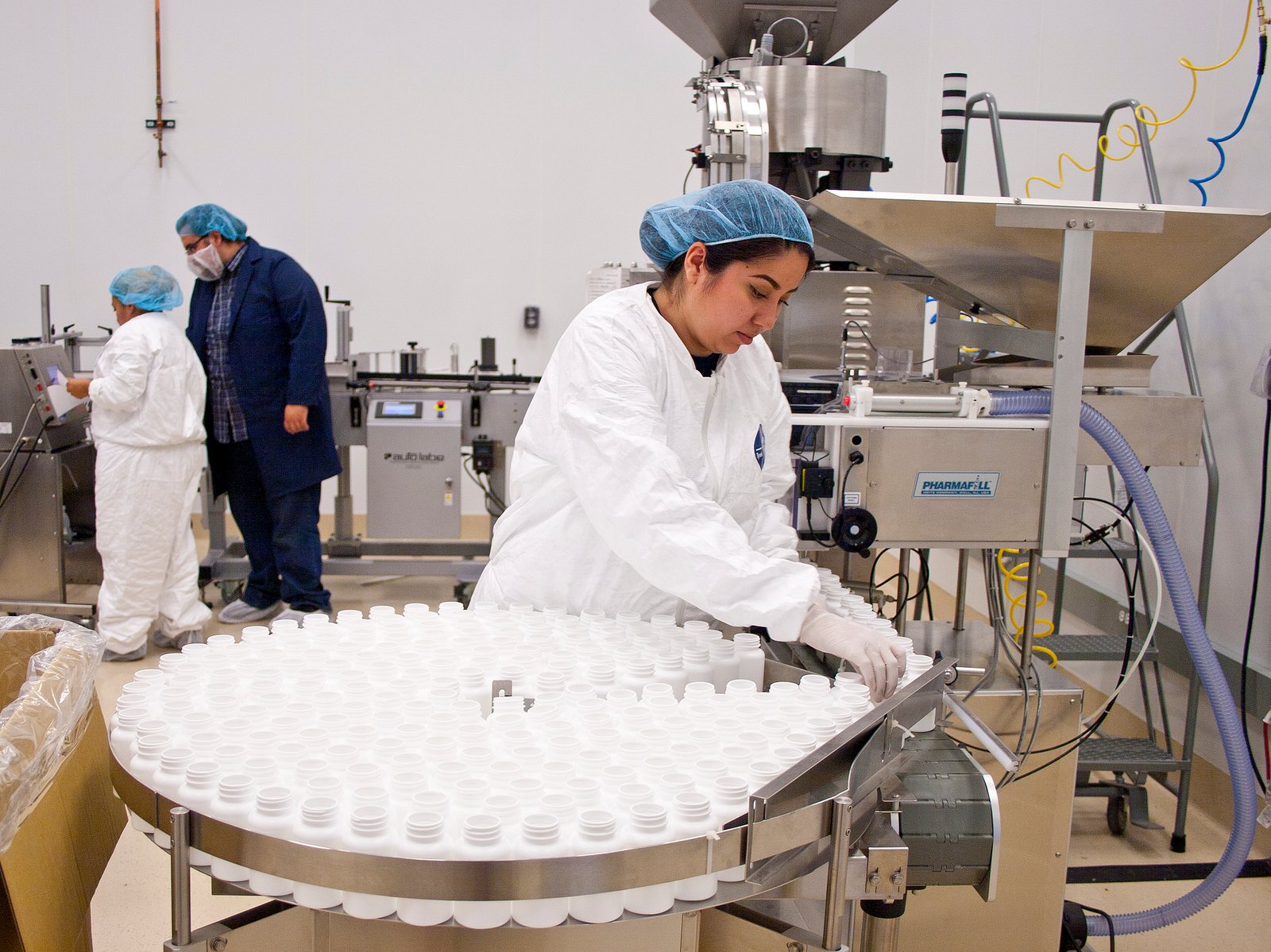 Nutrition Beyond the Bowl: Supplements and Treats (image credits: wikimedia)