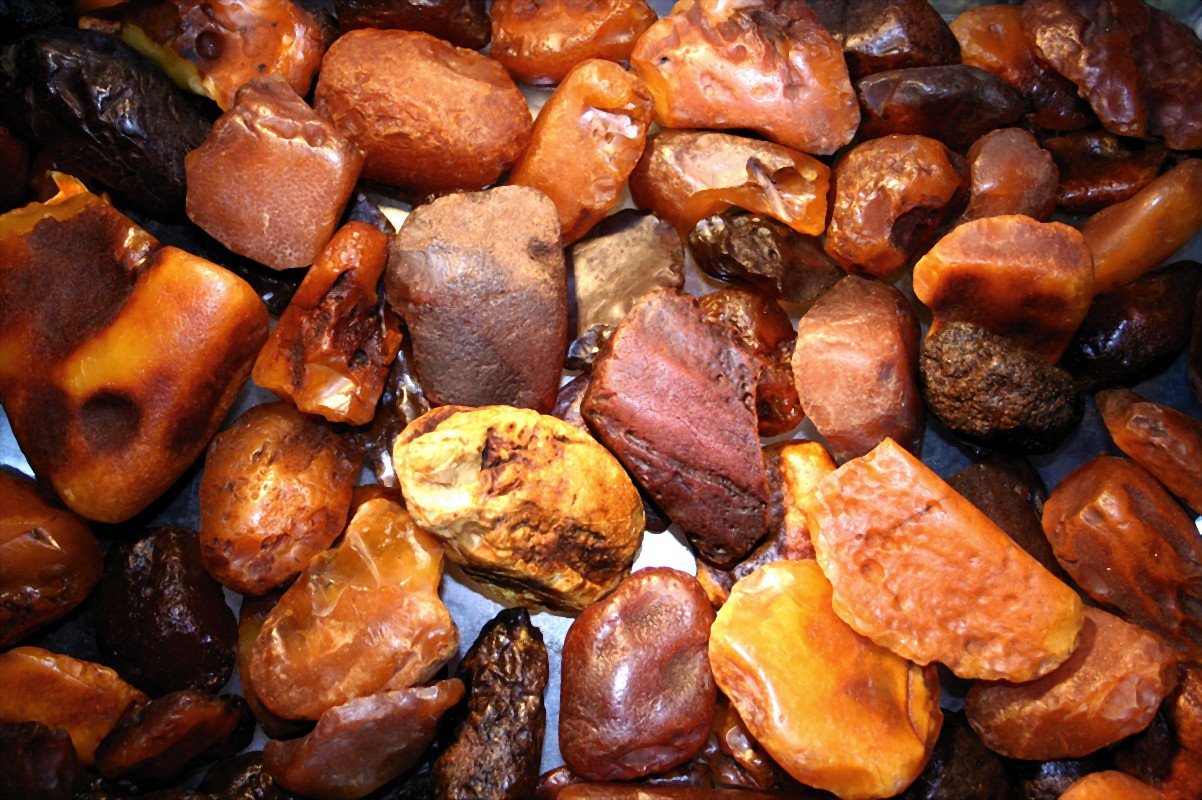 Amber: Nature’s Time Capsule (image credits: wikimedia)