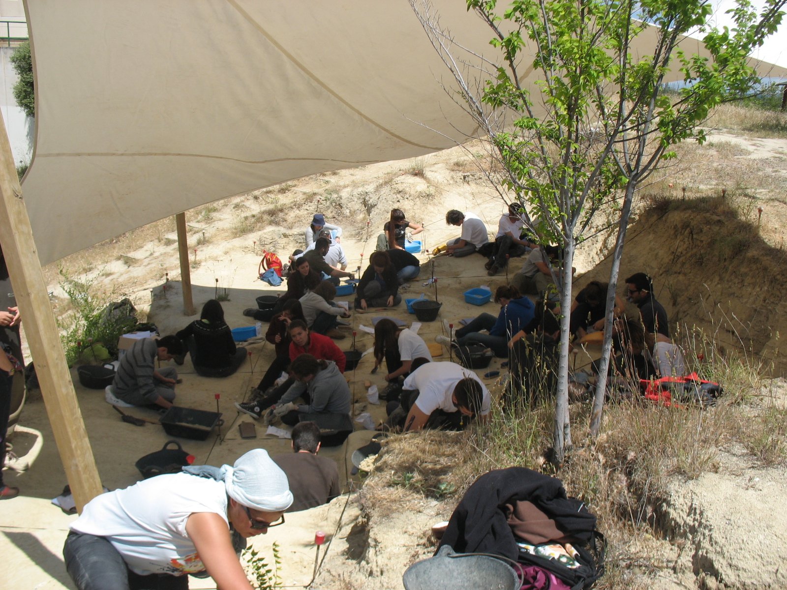 Looking Forward: The Future of Fossil Exploration in Araripe (image credits: wikimedia)