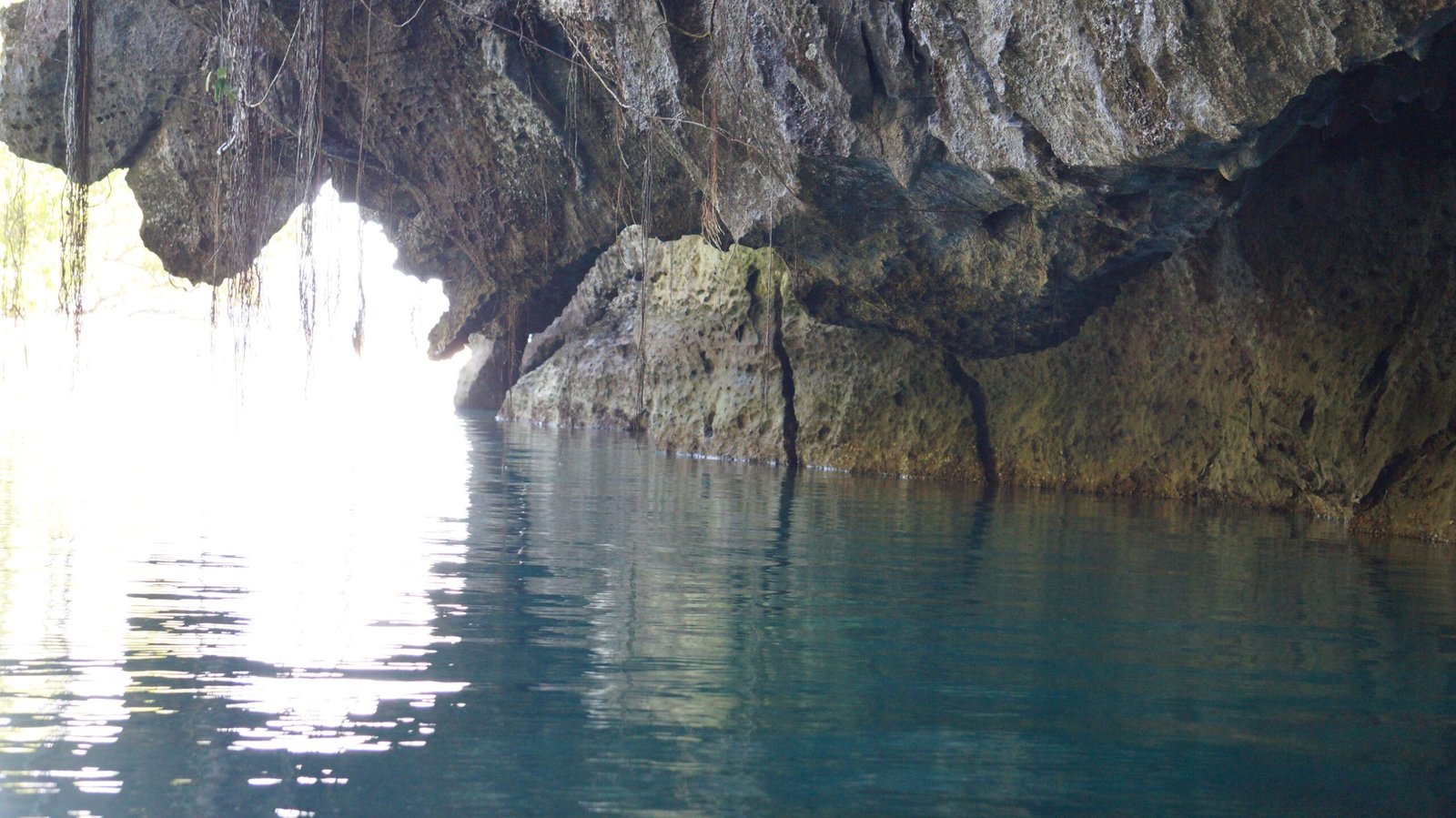 The Secret Life Beneath Our Feet (image credits: wikimedia)