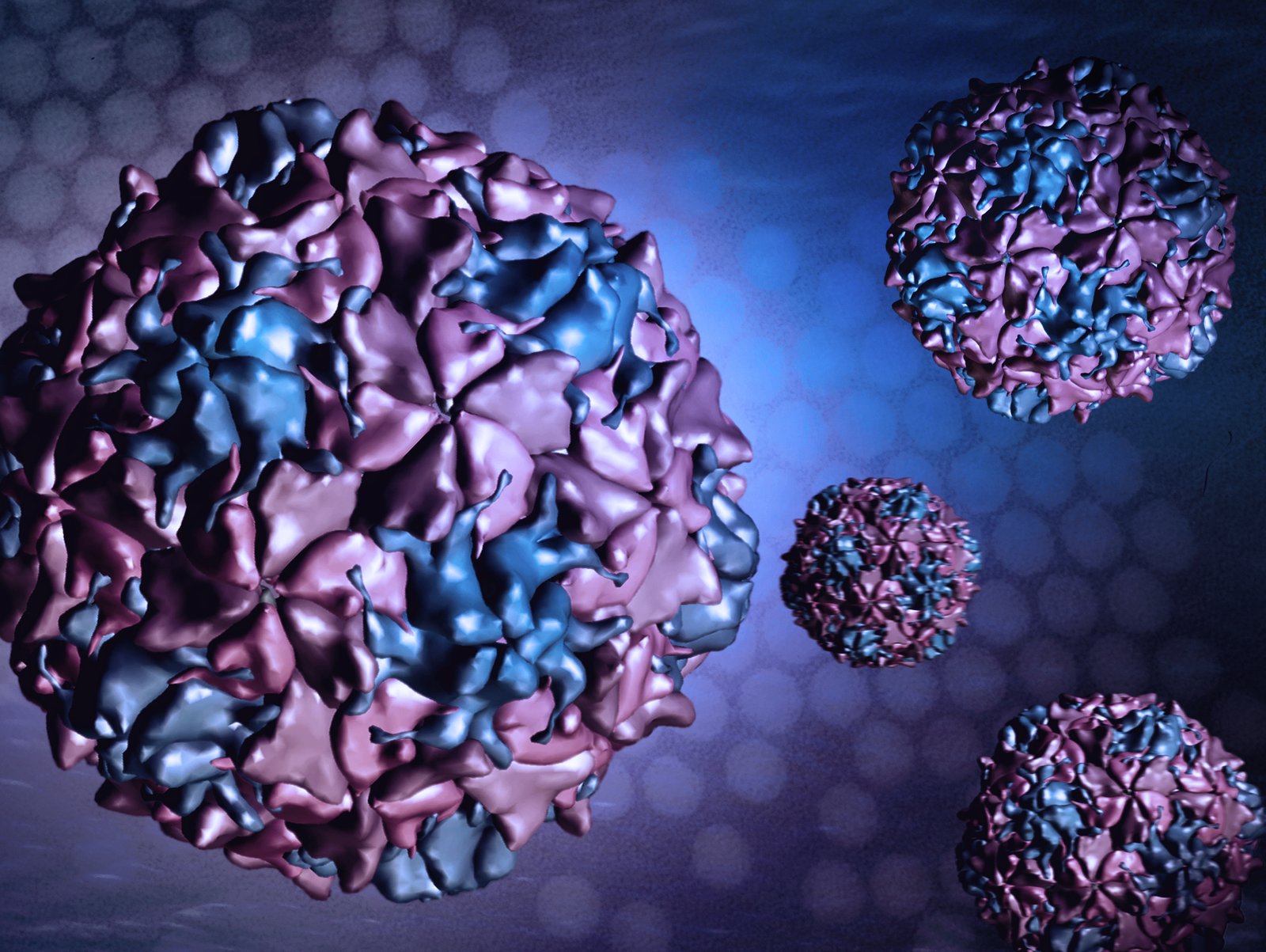 The Mutation Factor: Vaccine-Derived Polio (image credits: wikimedia)