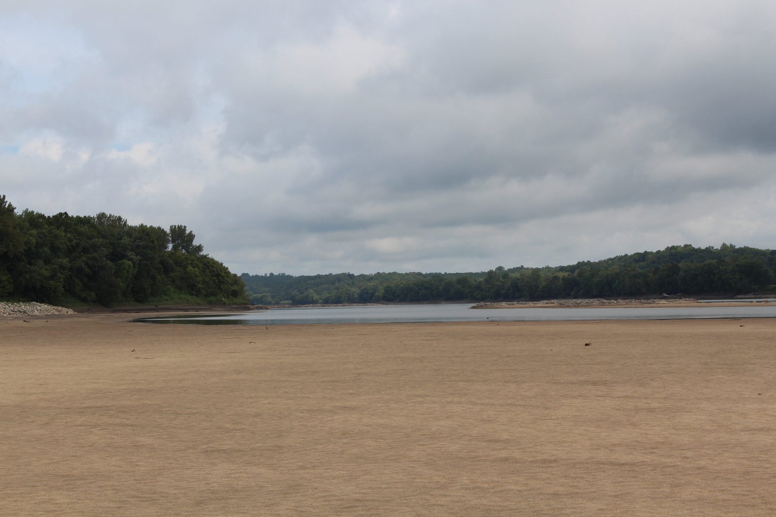 Wildlife Encounters on the Sandbar (image credits: wikimedia)