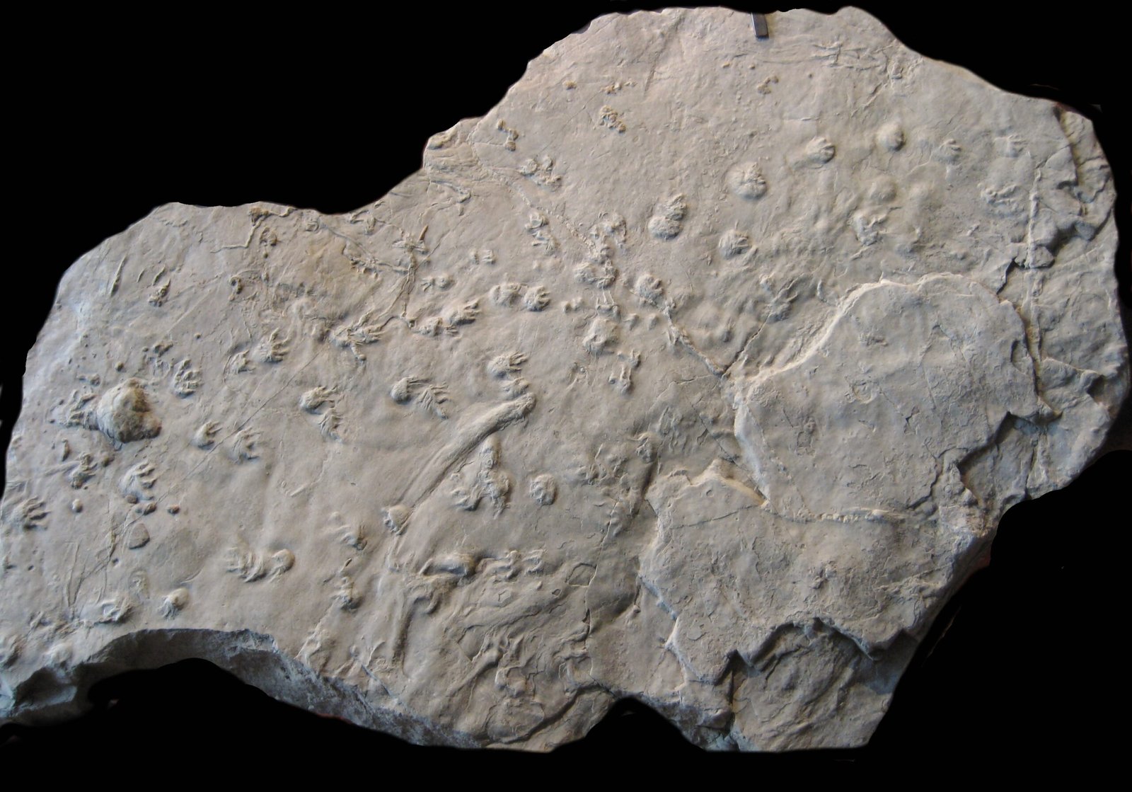 World Heritage Recognition (image credits: wikimedia)