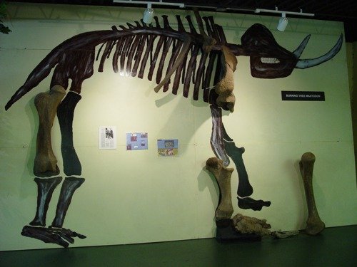 The Enduring Allure of Prehistoric Edmonton (image credits: wikimedia)