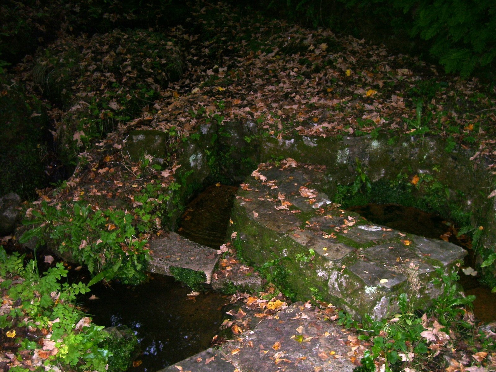 Healing Springs: Myths and Mineral Magic (image credits: wikimedia)