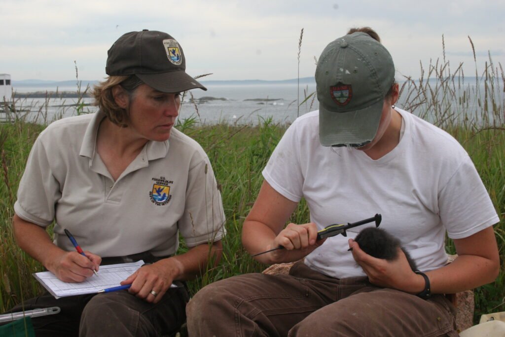 Voices from the Field: Rangers, Scientists, and Locals