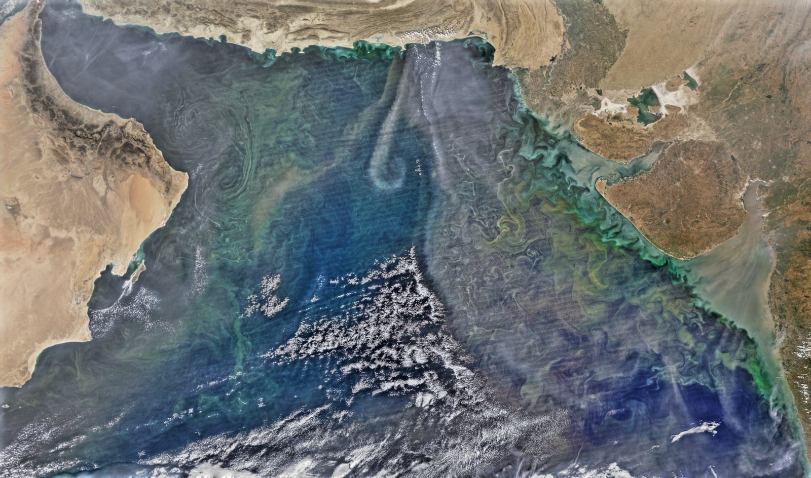 The Dance of Rivers and Sea: Sediment and Tides (image credits: wikimedia)