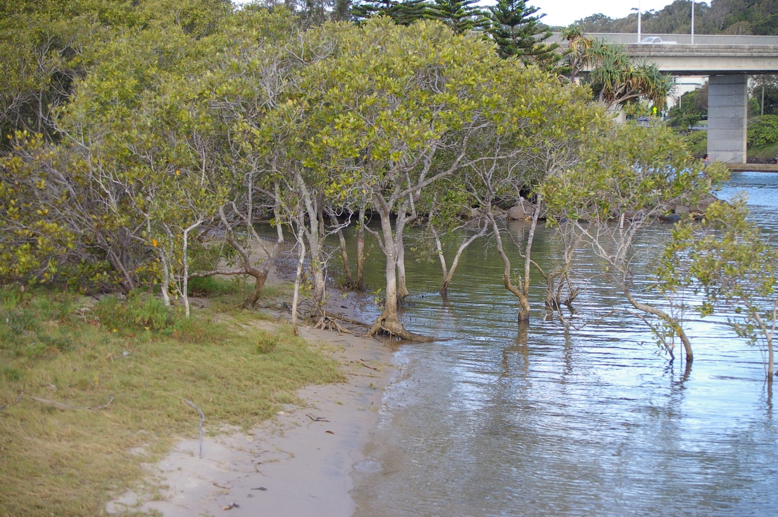 The Cultural Memory of Water (image credits: wikimedia)
