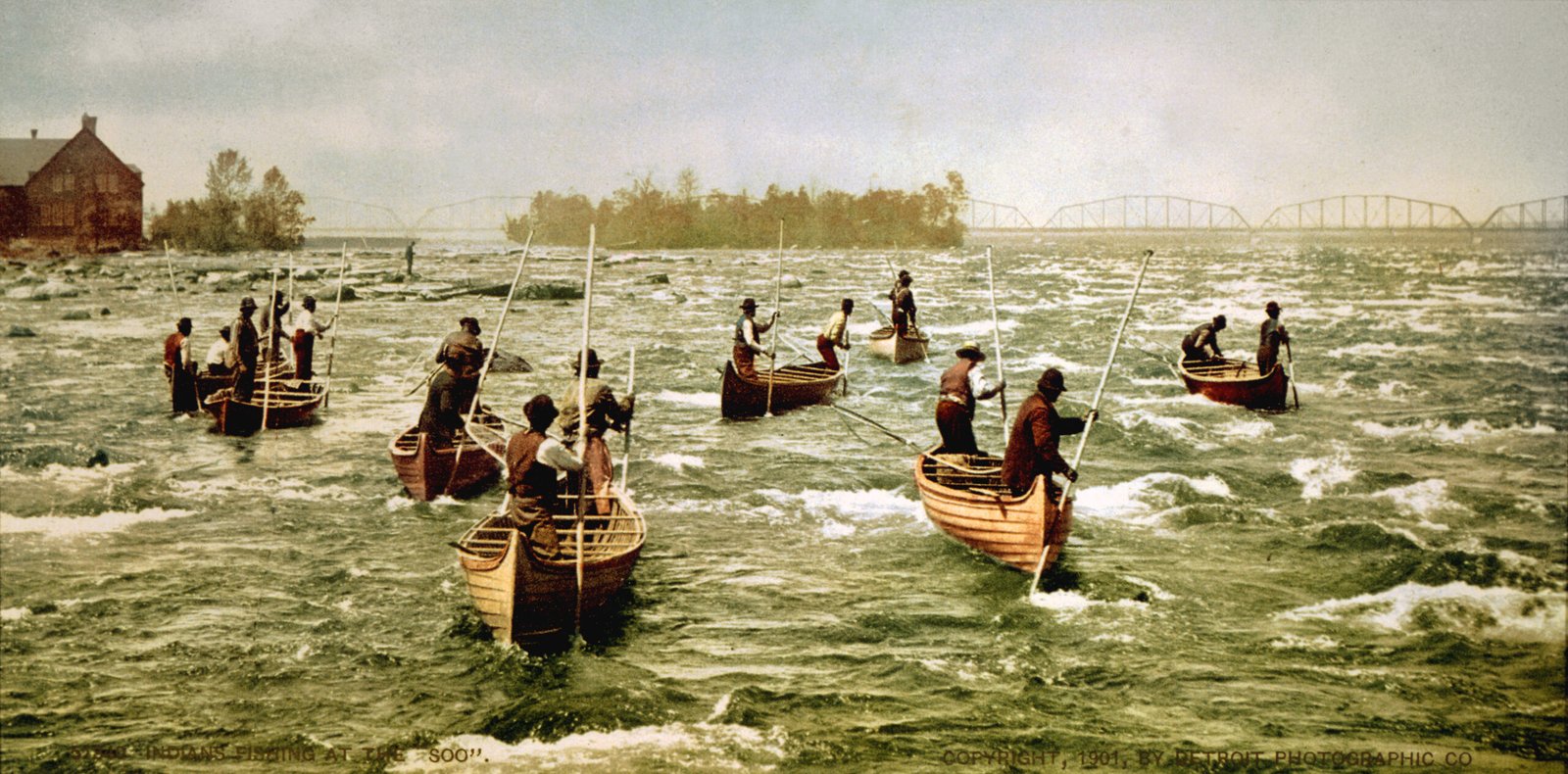 The Role of Traditional Knowledge (image credits: wikimedia)